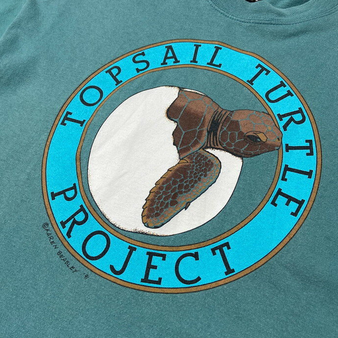 90N topsail turtle project E~K vWFNg vgTVc YL yÒzyÁz
