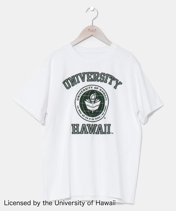 KahikoX [GuSYTVcyUniversity of Hawaiiz] JqR nCA nCAG t@bV YgbvX 4CA-3241