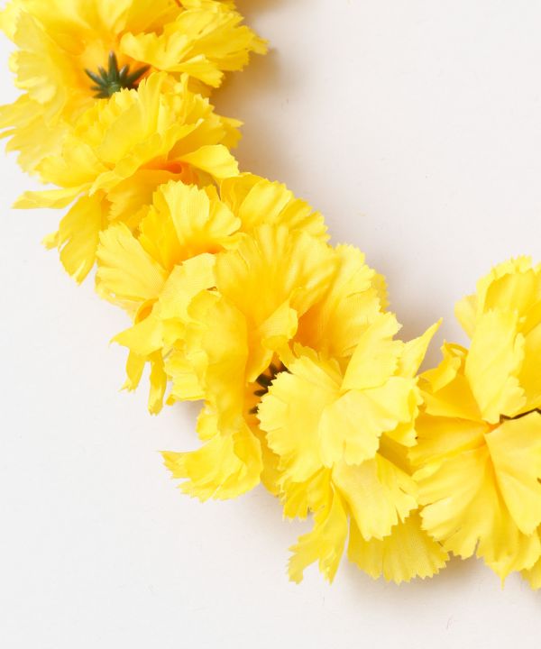 Maunaloa����Ź [�����͡������쥤] �ޥ��ʥ��� �ե� �ե���󥹰��� ��å������� Maunaloa �쥤�����硼���� YCKZ0318