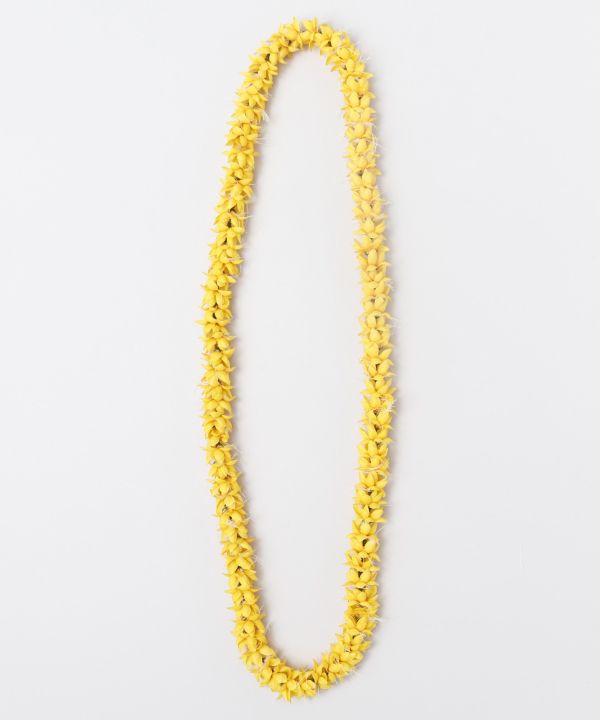 Maunaloa����Ź [���ϥ����ꥤ���󥰥쥤] �ޥ��ʥ��� �ե� �ե���󥹰��� ��å������� Maunaloa �쥤�����硼���� YCKZ3104