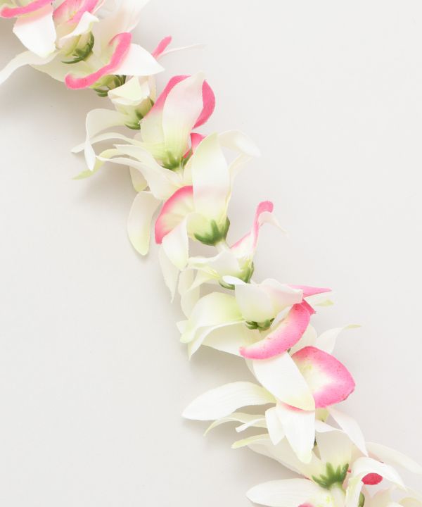 Maunaloa����Ź [�������åɥ��󥰥쥤] �ޥ��ʥ��� �ե� �ե���󥹰��� ��å������� Maunaloa �쥤�����硼���� YCKZ0328