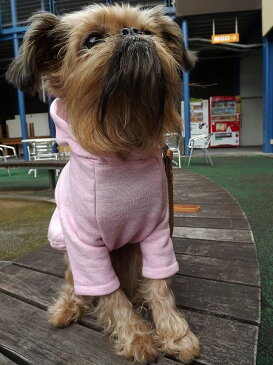 【犬服オリジナル】普段着に・裏起毛ピンク杢・袖フード付T mrfw0279 #犬服通販 #ボストンテリア #フレンチブルドッグ #パグ #ペチャ #小型犬 #トイプードル #チワワ #ヨーキー #マルチーズ