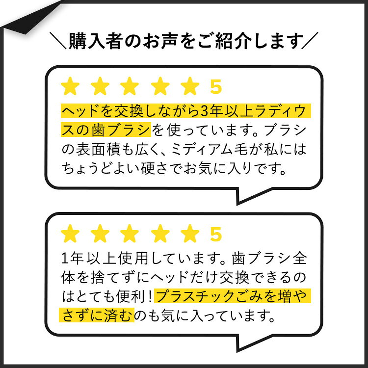 ラディウス 交換用ブラシヘッド ミディアム (2本 Source & TOUR) Radius Brush Rep...
