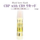 究極 【CBP with CB9 リキッド】 ハイブリッド CBP 50 /CB9 40 / フルヘンプ フルテルペン リキッド- Black berry Kush - PROUDCBD 0.5ml