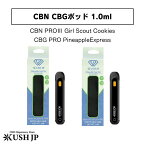 CBN CBG 使い捨てポッド KUSH JP クッシュジェーピー CBN45%CBG35%ポッド 使い捨て PRO3 PRO ガールスカウトクッキー パイナップルエクスプレス 1.0ml CBN CBG CBT CBDV テルペン