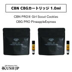 CBN CBG リキッド KUSH JP クッシュジェーピー CBN45% CBG35%カートリッジ PRO3 PRO ガールスカウトクッキー パイナップルエクスプレス 1.0ml CBN CBG CBT CBDV テルペン