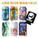 【ギフト箱入り】 人気のIPAビール 6本 飲み比べセット クラフトビール IPA 6種 缶 飲み比べセット ブリュードッグオリジナルクージー付