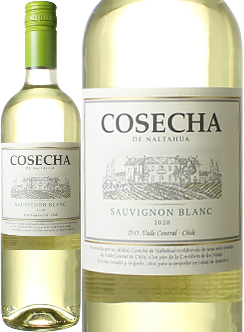 ワイン名Cosecha Sauvignon Blancワイン種別白ブドウ品種ソーヴィニヨン・ブラン生産者&nbsp;生産地などチリ　原産地呼称チリその他備考