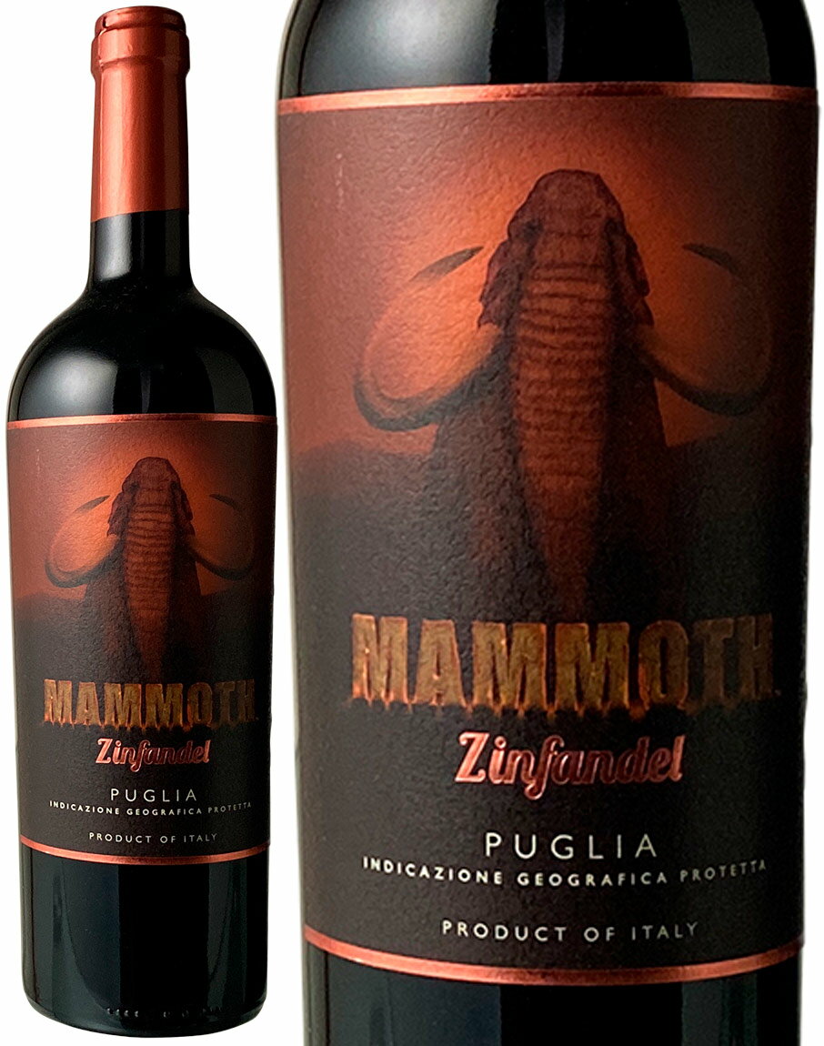 マンモス ジンファンデル 2024 マーレ マンニュム ＜赤＞ ＜ワイン／イタリア＞