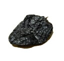 【5/13以降出荷】【送料無料】ムラート乾燥(50g x 1)【チレ】【12806】【沖縄・離島は別料金加算】