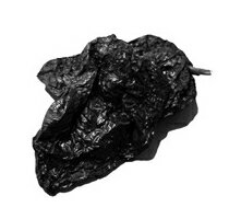 【3〜6営業日以降出荷】【送料無料】アンチョ乾燥(1kg x 1)【チレ】【12801】【沖縄・離島は別料金加算】