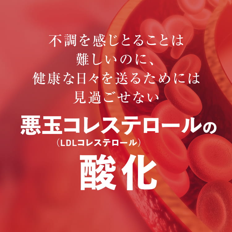 プラスキレイの悪玉コレステロール LDLコレステロール の酸化を抑制 血中 抗酸化作用 リコピン トマト 機能性表示食品 オリーブ由来 ヒドロキシチロソールの抗酸化作用で悪玉コレステロールの酸化を抑制 減少 コレスヘルス＋ 1～5袋 [メール便]｜アングル3