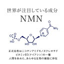 NMN サプリメント NMN11,250mg サプリ 大容量 90粒 ×2袋（180粒 約3～6ケ月分）【医師開発 国内製造】 効果 純度99.9％以上 ニコチンアミドモノヌクレオチド サーチュイン遺伝子 エヌエムエヌ ナイアシン NMNエクセレントプラス 人気 NDA+ 【メール便】 2