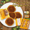 お中元 ギフト はちみつ マドレーヌ 神戸 金時ハニー 6個入 (のし・ラッピング対応) コンサクレ・カイ 洋菓子 焼菓子 お土産 手土産 贈り物 プレゼント 美味しい 可愛い おしゃれ おすすめ 人気 ランキング 通販 お盆 お供え 御供 御年賀 帰省土産 賞味期限