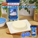 1000円ポッキリ 送料無料 濃密レアチーズケーキ 2個入 エクスフロマージュ神戸 六甲バター 美味しい日時指定不可 高級 チーズケーキ 帰省土産 通販 人気 ランキング おすすめ ギフト プレゼント 神戸土産 QBB 常温 賞味期限 洋菓子 スイーツ 贈答品 買い回り あと一品