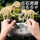 送料無料 知育玩具 おもちゃ 恐竜発掘キット 恐竜おもちゃ 恐竜 骨格標本 骨格組立 骨 子供 おもちゃ 誕生日ギフト プレゼント 知育おもちゃ 知育 子供 地...