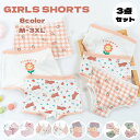 キッズ 下着 女の子 子供 子ども 3枚セット パンツ セット ボクサーパンツ キッズ ショーツ インナー 肌着 ベビー 子ども 女の子用 ショーツ 綿 ボクサ...