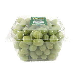 グリーン シードレスグレープ 1.3kg 種なし Green Seedless Grapes