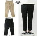 fBbL[Y TCXgb` AN C[W[ pc Dickies TC STRETCH ANKLE EASY PANTS 181M40WD16