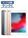 yÁzyziPad mini5 64GB S[h Wi-FiŁyS30ۏ؁z {  CCRlNg