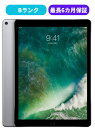 yÁzyǕiziPad Pro 12.9 C` (2) 256GB Cellular + Wi-Fi Xy[XOC SIMbN docomo yS30ۏ؁z {  CCRlNg