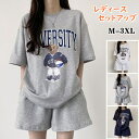 セットアップ レディース tシャツ 半袖 ショートパンツ 薄手 上下セット夏 クマ 可愛い カジュアル ゆったり 熊柄 春 大きいサイズ