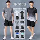 スポーツウェア トレーニングウェア ランニングウェア Tシャツ ハーフパンツ クルーネック 上下2点 セットアップ メンズ 半袖 ハーフ ドライ 上下セット 半...