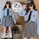 キッズ服 子供服 こども制服 スクールウェア キッズ用 2点セット ネクタイ付き 学生服 ストライプ柄 長袖シャツ 無地ミニスカート 膝丈 プリーツスカート 女の子 ガールズ 女児 キッズ キッズファッション JK制服 小学校 中学校 チアダンス衣装 学園 発表会衣装 通学 通園