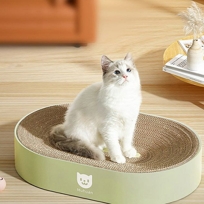 �ޤȤ� �޸��� �ڥå� ǭ ����ܡ��� �ʥܡ��� ������� ���� ǭ�� ��곰����ǽ ���ȥ쥹��� ̵��̵�� �ʼ��ɤ� PP���� ��Ŭ �� �ɿ� ������ ���꡼�� �ԥ� �ѡ��ץ� �ۥ磻�� �٥å� ���������ñ ������� ���襤�� ����ƥꥢ �Ȥ�����ͳ ���Ȥ� �ĻȤ� �緿�ͤ�