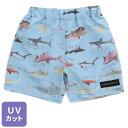 サメ図鑑総柄トランクス 水着 ブルー キッズ 子供用 男の子 スイムパンツ サーフパンツ ハーフパンツ 90cm 100cm 110cm UVカット お魚ネーム付き jog