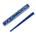【18日限定5%OFF】【夏割限定プライス】【ゆうパケット配送】 はしとはし箱セット 恐竜王者が大集合 子供用 こども 子供 幼稚園 幼稚園 小学校