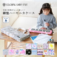 【10%OFFクーポン＆Wプレゼント】ピアニカケース 鍵盤ハーモニカケース 人気柄ライ...