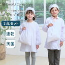 【18日限定5%OFF】【ゆうパケット配送】 給食エプロンセット 前開き 後開き 給食衣 3点セット 無地 白 抗菌加工 割烹着 給食帽 給食袋 巾着 巾着袋 ...