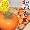 訳あり 奈良県西吉野産 たねなし柿 約2kg ※3箱以上のご購入で送料無料です。種無柿 種なし柿 かき カキ 完熟柿 - 食彩創庫