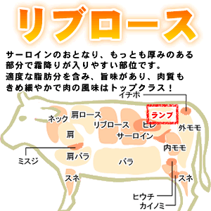 【産地直送品】伊賀牛 リブロースステーキ 250g 2枚※冷凍クール便での発送となりま...