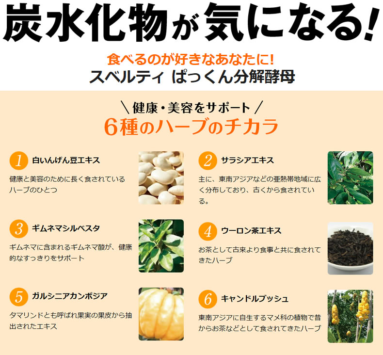 ぱっくん分解酵母 56粒入り(メール便送料無料)SVELTY スベルティ キャンドルブッシュ サプリメント ccsz-10001953 食彩創庫 サンプル画像2