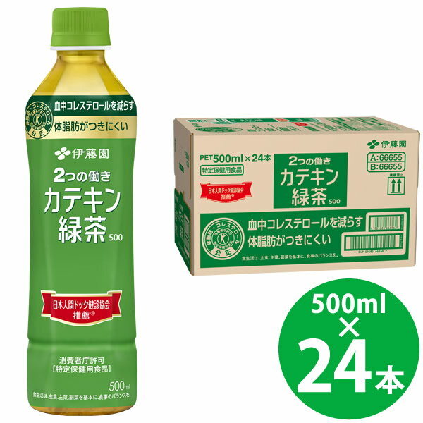 楽天市場】伊藤園 カテキン緑茶 500ml 24本の通販