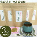 宮崎県産 無農薬栽培 日本山人参微粉末 50g 専用スプーン付 3袋セット (メール便送料無料) 日向当帰 ヒュウガトウキ 無農薬 日本山人参 国産 ポリフェノール 1袋湯呑約100杯分