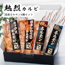 熱烈カルビ 国産ホルモン4種セット 焼肉 黒毛和牛 味噌 塩 ミックス シロコロ 国産 ホルモン セット せんざん 人気 ギフト 誕生日 お歳暮 お中元 贈り物