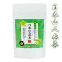 日本山人参茶 (メール便送料無料) 親和園 ティーバッグ 健康 お湯出し 水出し 日本山人参 ヒュウガトウキ 国産 日本製 お茶 茶 自然栽培 人気 ギフト 贈...