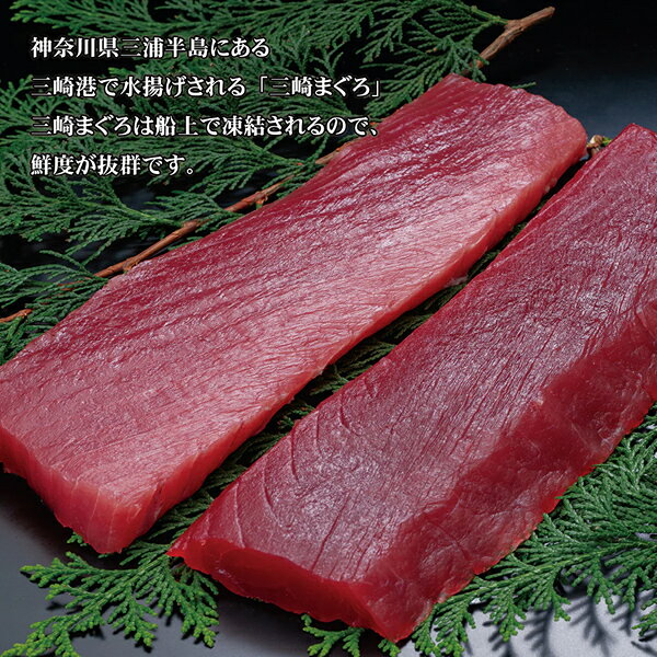 せんざん まる浜 三崎まぐろ丼4食分 (全国一律送料無料) せんざん 三代目網元 まる...
