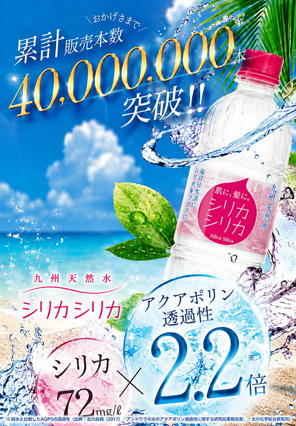 シリカシリカ 500ml×48本 (24本×2ケース) (送料無料) シリカ水 天然水 ミネラルウォーター 美容 シリカ72mg 九州天然水 軟水 ナチュラルミネラルウォーター ccsz-10002344 食彩創庫 サンプル画像2