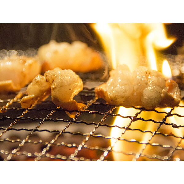 【産地直送品】伊賀牛 テッチャン(小腸) 300g※冷凍クール便での発送となります牛肉...