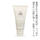 サンナホル 洗顔フォーム 70g|詳細画像