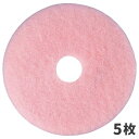 3M イレーザーバーニッシュパッド 483X82mm 19インチ 5枚入 E/B-483X82