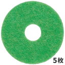 3M プレバーニッシュパッド グリーン&アンバー 305X82mm 12インチ 5枚入 PRE-305X82