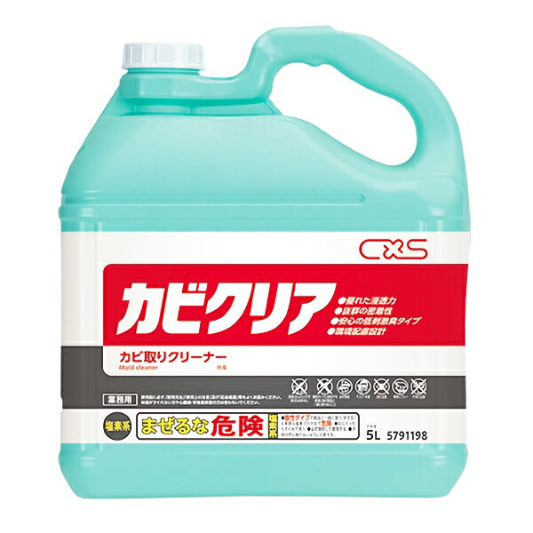 CxS シーバイエス カビクリア 5L 3本入(＠1本あたり5280円)5791198 [単品配送]