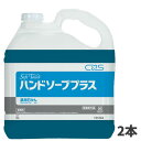 CxS シーバイエス セーフタッチ ハンドソーププラス 5L (2本入) T35764