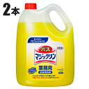 花王 バスマジックリン 4.5L 業務用 浴室用洗剤 除菌 2本入 41049
