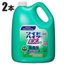 花王 ワイドハイターEXパワー 粉末タイプ 3.5kg 業務用 衣料用漂白剤 2本入 41543